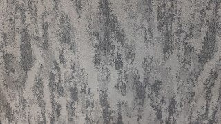 COSE 049, ���������� ����� 285 ��