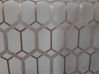 YANG 010, ���������� ����� 290 ��